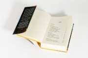 Buchcover und Innenansicht für das Buch: Elemental