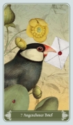 Buchcover und Innenansicht für das Buch: Christephania Kipper