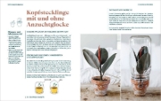 Buchcover und Innenansicht für das Buch: Noyaux & Boutures