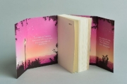 Buchcover und Innenansicht für das Buch: The Two Lives of Lydia Bird