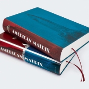 Buchcover und Innenansicht für das Buch: American Matrix