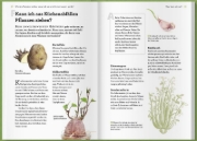 Buchcover und Innenansicht für das Buch: Werden Tomaten süßer, wenn ich sie mit Zuckerwasser gieße und kann ich mein Unkraut einfach aufessen?