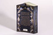 Buchcover und Innenansicht für das Buch: Reign of Gods - Verflucht