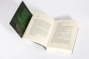 Buchcover und Innenansicht für das Buch: The Broken Afternoon