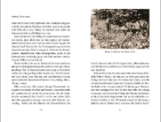 Buchcover und Innenansicht für das Buch: Rilke als Gärtner