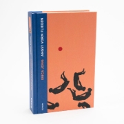 Buchcover und Innenansicht für das Buch: Fear of Flying