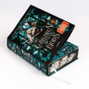 Buchcover und Innenansicht für das Buch: Children of Fallen Gods