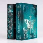 Buchcover und Innenansicht für das Buch: Children of Fallen Gods