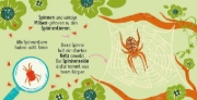 Buchcover und Innenansicht für das Buch: 50 Wörter über die Natur - Insekten