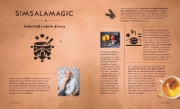 Buchcover und Innenansicht für das Buch: Currys magisch einfach