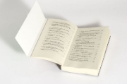 Buchcover und Innenansicht für das Buch: Der Spielverderber