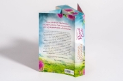 Buchcover und Innenansicht für das Buch: Die Geheimnisse von Rosewell Castle