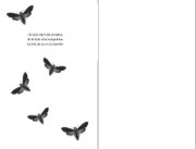 Buchcover und Innenansicht für das Buch: Afterlove