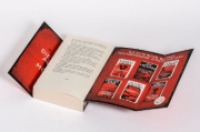 Buchcover und Innenansicht für das Buch: See Jane Run
