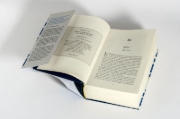 Buchcover und Innenansicht für das Buch: The Calamity Club