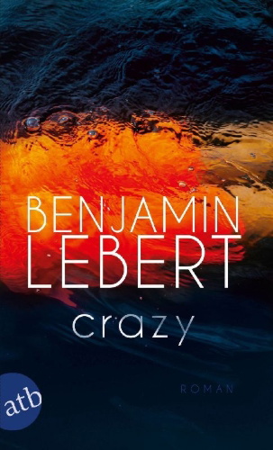 Buchcover und Innenansicht für das Buch: Crazy