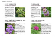 Buchcover und Innenansicht für das Buch: Der antiautoritäre Garten