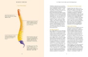 Buchcover und Innenansicht für das Buch: Den Rücken selbst heilen