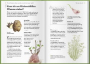 Buchcover und Innenansicht für das Buch: Werden Tomaten süßer, wenn ich sie mit Zuckerwasser gieße und kann ich mein Unkraut einfach aufessen?