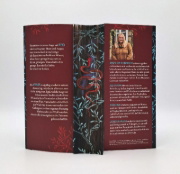 Buchcover und Innenansicht für das Buch: The Wicked and the Damned