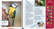Buchcover und Innenansicht für das Buch: Vögel in unserem Garten