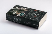 Buchcover und Innenansicht für das Buch: The Throne of Broken Gods (Gods & Monsters 02)