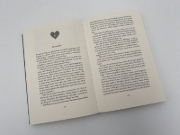 Buchcover und Innenansicht für das Buch: Finale