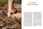 Buchcover und Innenansicht für das Buch: Handbuch Samengärtnerei