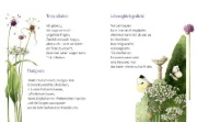 Buchcover und Innenansicht für das Buch: Hallo Leben, du bist so schön!