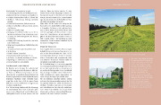 Buchcover und Innenansicht für das Buch: Heilsames Räuchern mit Wildpflanzen