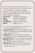 Buchcover und Innenansicht für das Buch: Das große Katzen Quiz