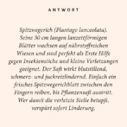 Buchcover und Innenansicht für das Buch: Kräuter-Quiz