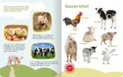 Buchcover und Innenansicht für das Buch: Mein großes Buch der Tiergeräusche
