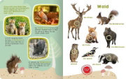 Buchcover und Innenansicht für das Buch: Mein großes Buch der Tiergeräusche
