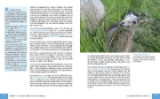 Buchcover und Innenansicht für das Buch: Panasonic LUMIX DC-S5II / DC-S5II¿X: Das umfangreiche Praxisbuch zu Ihrer Kamera