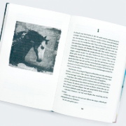 Buchcover und Innenansicht für das Buch: Pony