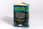 Buchcover und Innenansicht für das Buch: The Summer Guests