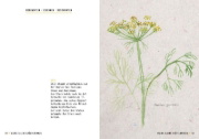Buchcover und Innenansicht für das Buch: Meine kleine Kräuterkunde