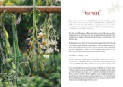 Buchcover und Innenansicht für das Buch: Herbal Healing - Medizin aus der Natur