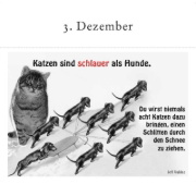 Buchcover und Innenansicht für das Buch: Der literarische Katzen-Adventskalender