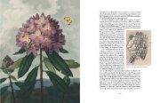 Buchcover und Innenansicht für das Buch: Atlas der tödlichen Pflanzen