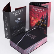 Buchcover und Innenansicht für das Buch: Queen of Shadows