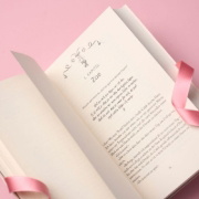 Buchcover und Innenansicht für das Buch: Hold Me - New England School of Ballet: Special Edition
