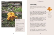 Buchcover und Innenansicht für das Buch: Abenteuer Wald