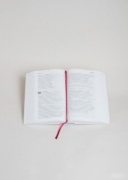Buchcover und Innenansicht für das Buch: Volxbibel - next level