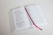 Buchcover und Innenansicht für das Buch: Volxbibel - next level
