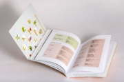 Buchcover und Innenansicht für das Buch: Selbst heilen mit Kräutern