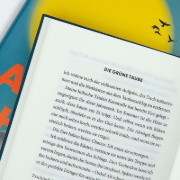 Buchcover und Innenansicht für das Buch: Der letzte Sommer der Tauben