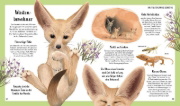 Buchcover und Innenansicht für das Buch: Tiergeschichten zum Träumen. Zauber der Nacht