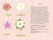 Buchcover und Innenansicht für das Buch: Shibui: The Japanese Art of Finding Beauty in Aging